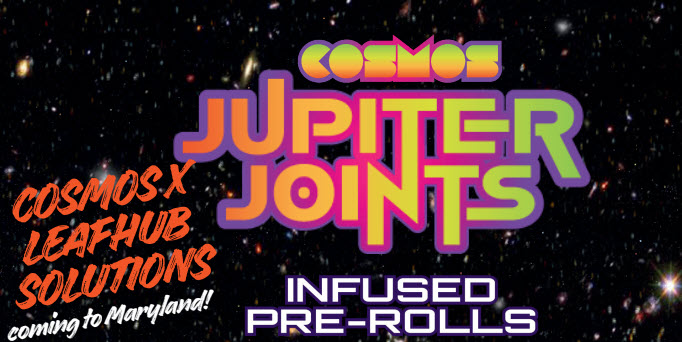 Cosmos Infused PreRolls