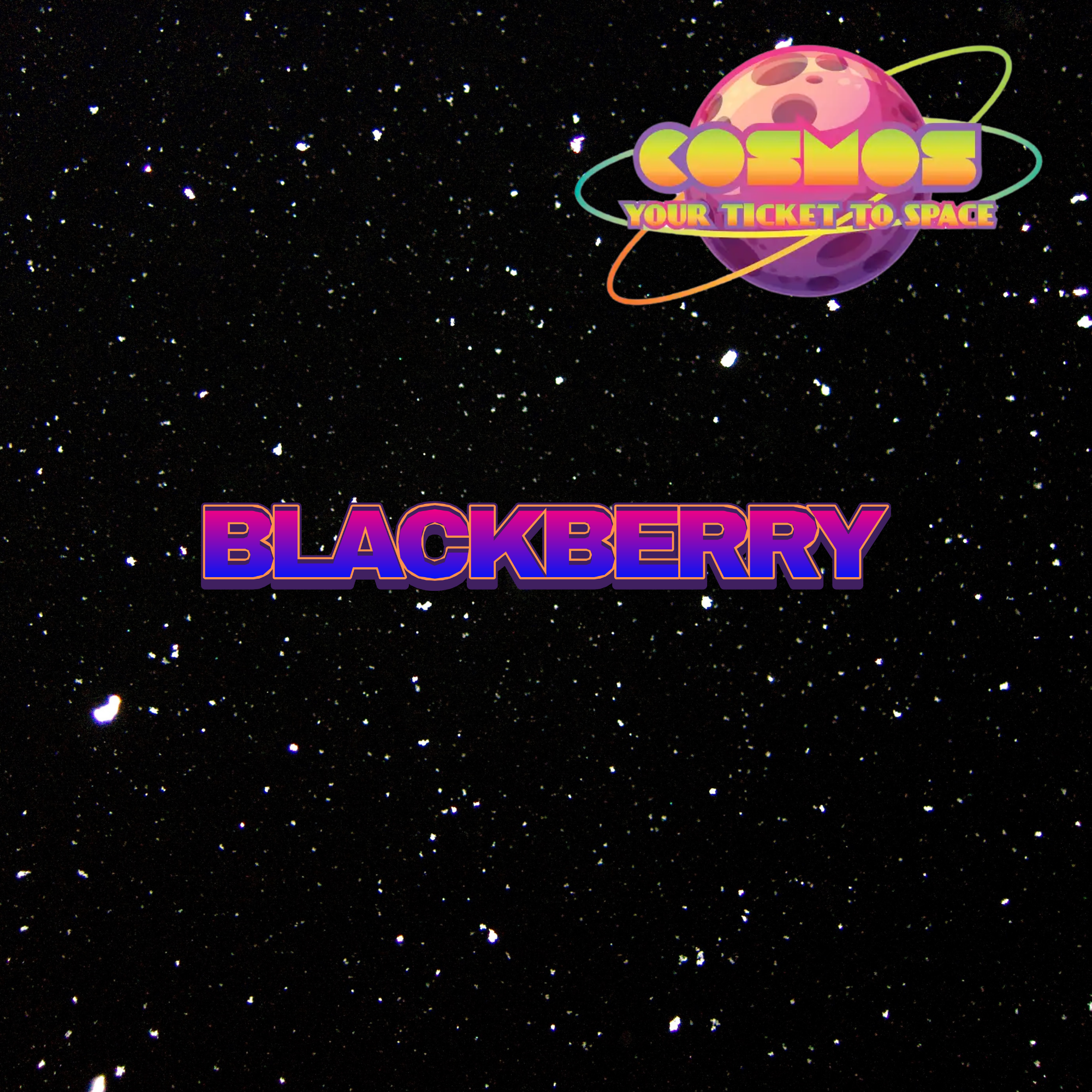 Cosmos - Blackberry Indica